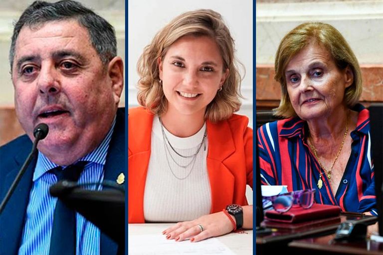 ATN: los votos entrerrianos en el Senado