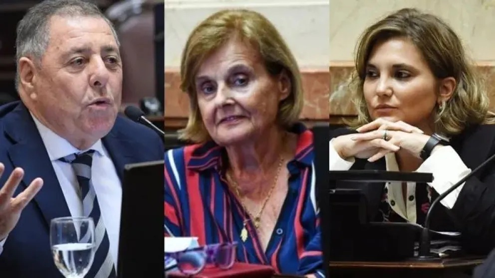 Senado rechazó los vetos: los votos entrerrianos